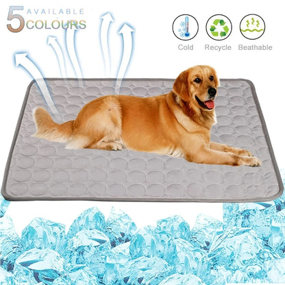 Keep Your Dog Cool and Happy Before Summer Arrives – Cooling Mat Solution.
