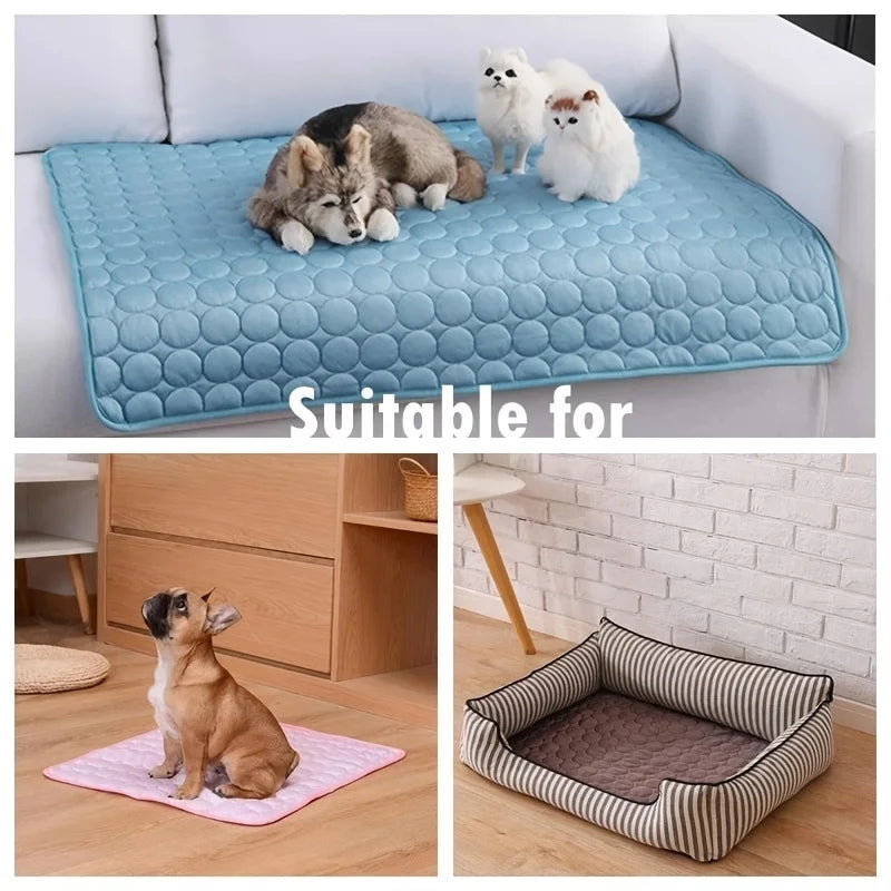 Keep Your Dog Cool and Happy Before Summer Arrives – Cooling Mat Solution.