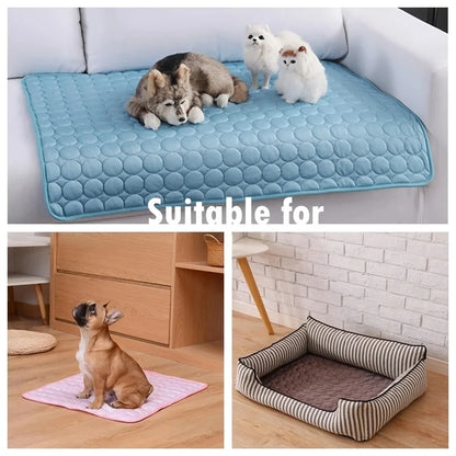 Keep Your Dog Cool and Happy Before Summer Arrives – Cooling Mat Solution.