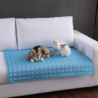 Keep Your Dog Cool and Happy Before Summer Arrives – Cooling Mat Solution.